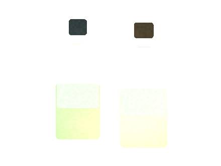 Air Bar Nex Flavor Pairing Ideas Checklist 2026