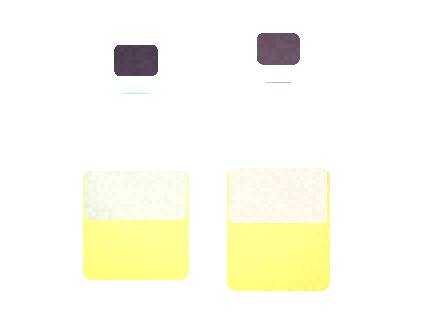 Air Bar Stark 3: Sample Order Workflow for Distributors